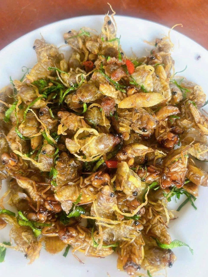 Tuy nhiên, do có thời gian dài sống trong lòng đất nên trong ve sầu có vi sinh vật ký sinh, có thể gây ngộ độc. Ảnh: Facebook