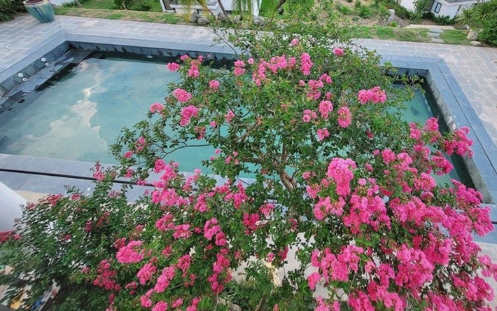 Xung quanh biệt thự được bà xã Mạnh Trường chau chuốt từ vườn hoa, cây ăn trái đến tiểu cảnh, tạo khuôn viên đầy sức sống. Ảnh: FBNV