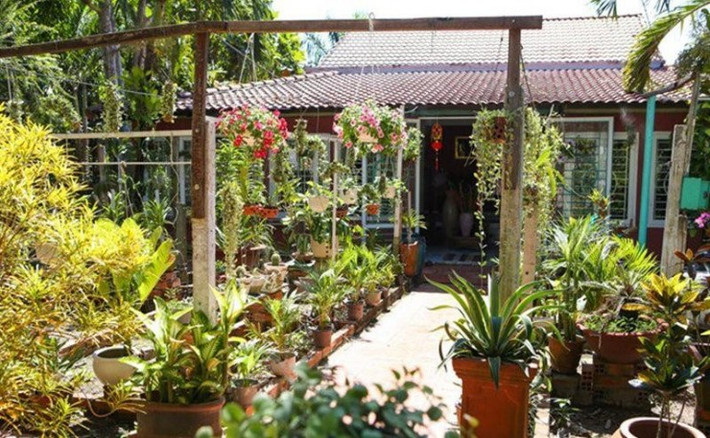 Ngôi nhà thiết kế cổ điển, kiểu mái Thái, có tông đỏ nâu chủ đạo, nhiều cửa sổ. Ảnh: Người đưa tin