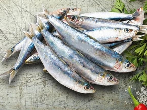 Đầu cá hình tam giác, miệng nhỏ và hơi thuôn. Mắt cá to, thân dài, hơi dẹt và thu hẹp ở phần đuôi. Ảnh: Internet