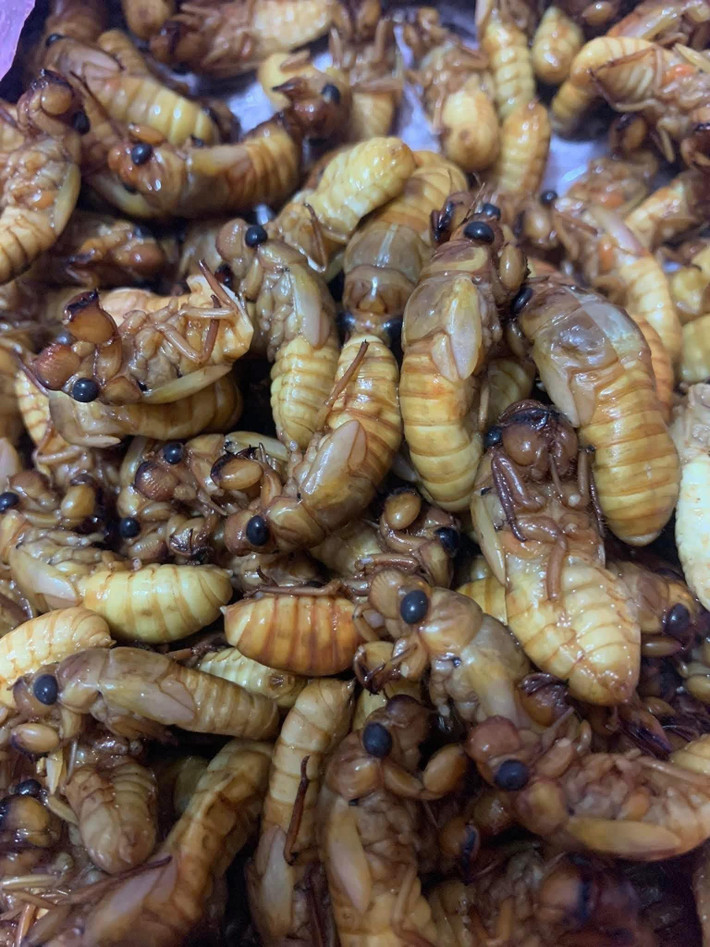 Trên chợ mạng, ve sầu non giá từ 280.000 - 500.000 đồng/kg. Thậm chí, thời điểm khan hàng, giá nhộng ve còn được chào bán lên tới 600.000 đồng/kg. Ảnh: Facebook