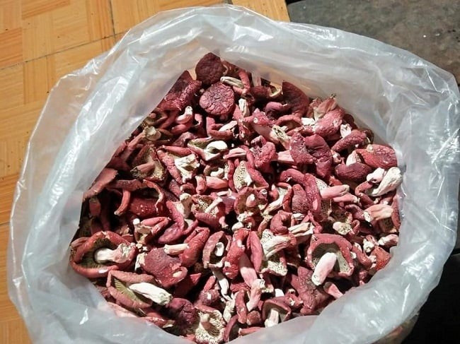 Trên thị trường, nấm chẹo tươi giá từ 200.000 – 300.000 đồng/kg. Khi sấy khô, giá nấm chẹo tăng vọt lên tiền triệu, nhưng vẫn luôn trong tình trạng “cháy hàng”. Ảnh: Dân Việt