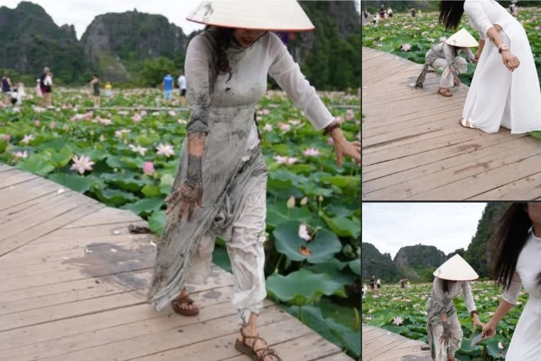 Đi chụp ảnh hồ sen, hội chị em trải qua kiếp nạn