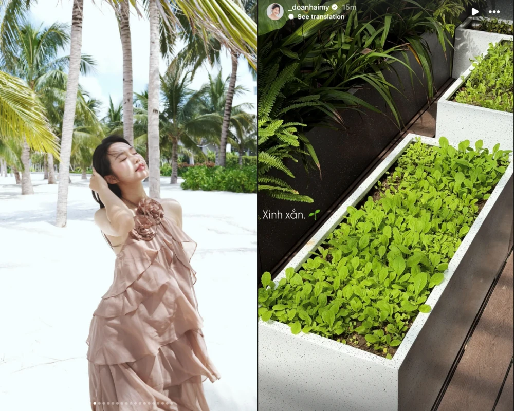 Doãn Hải My tự tay chăm từng góc biệt thự chục tỷ 