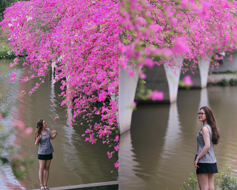 Rực rỡ sắc hồng điểm check-in hoa giấy “hot nhất” tại Hưng Yên