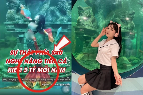 "Nàng tiên cá" chuyên nghiệp nói về tin đồn thu nhập khủng