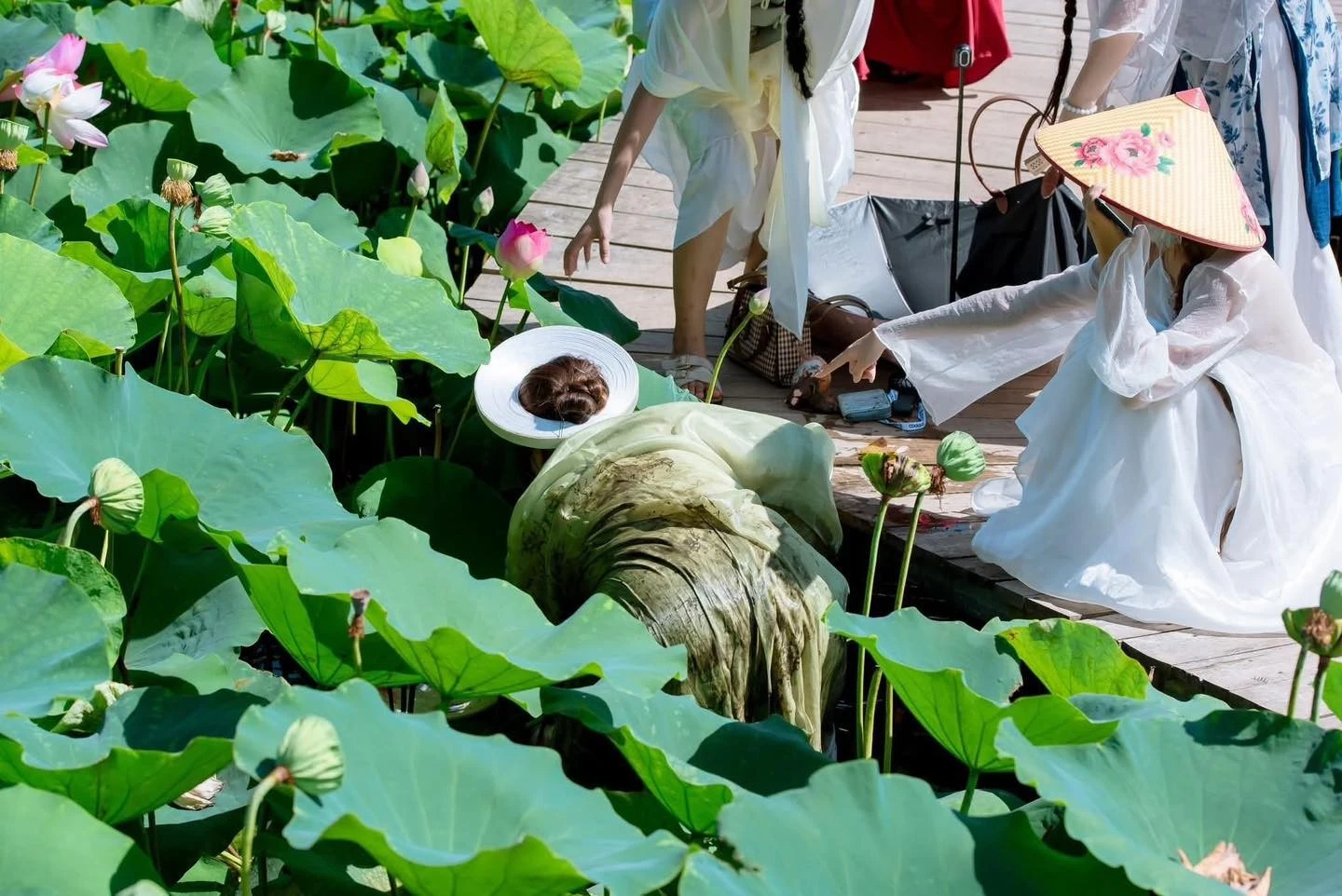 Kiếp nạn khi chụp sen Hang Múa của các nàng thơ