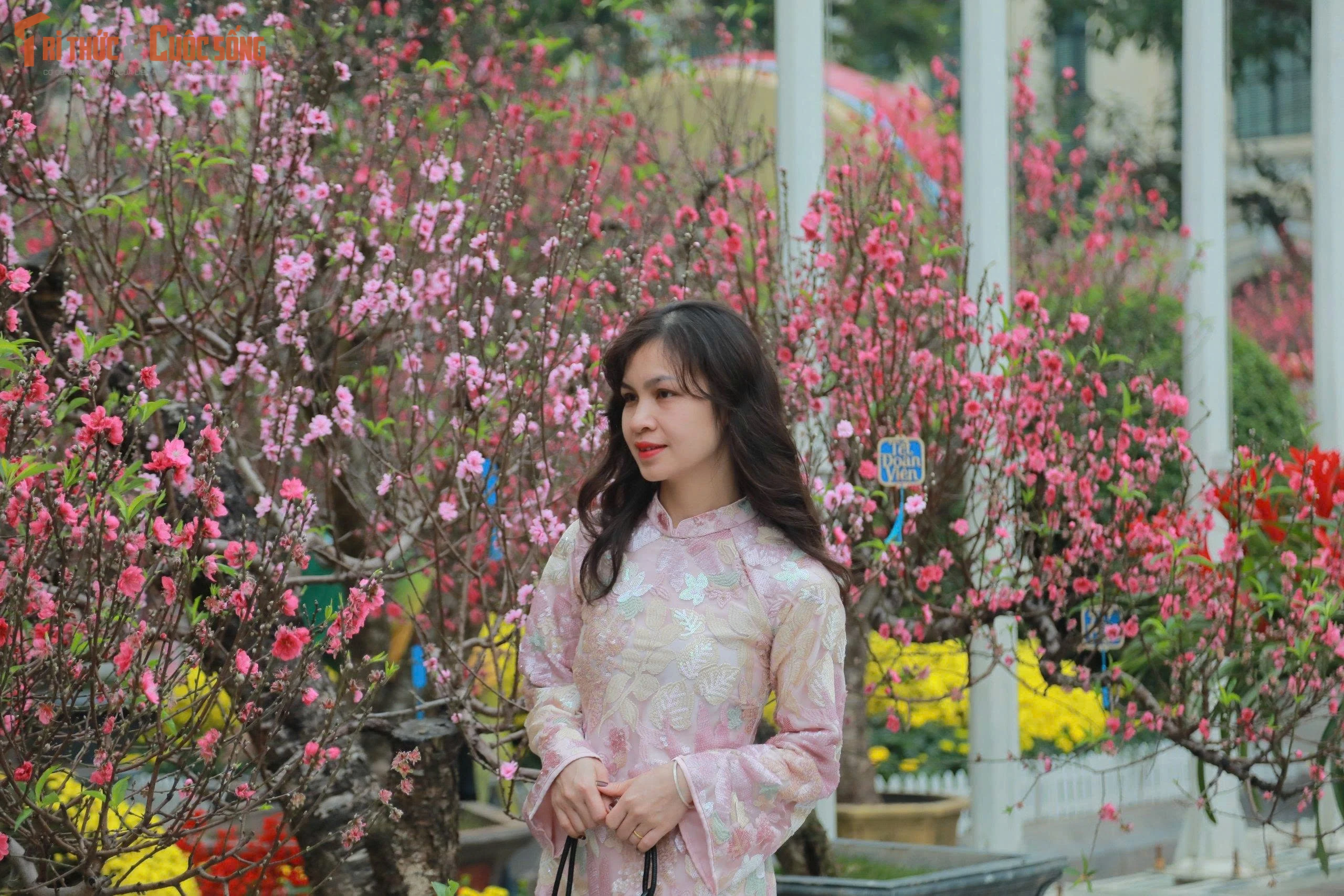 Người dân Thủ đô háo hức du xuân ngày mùng 1 Tết Bính Ngọ