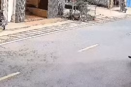 Lâm Đồng: Nữ điều dưỡng va phải chó thả rông, gặp nạn thương tâm