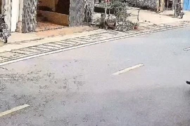 Lâm Đồng: Nữ điều dưỡng va phải chó thả rông, gặp nạn thương tâm