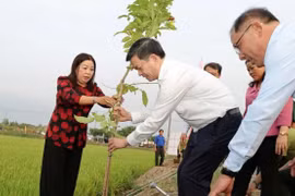 Cần Thơ phát động Tết trồng cây năm 2026 gắn với xây dựng đô thị sinh thái