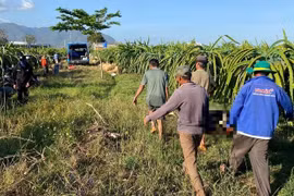 Lâm Đồng: Một người đàn ông tử vong nghi do đuối nước khi chài cá