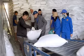 Xuất cấp hơn 4.153 tấn gạo hỗ trợ 5 địa phương dịp Tết Bính Ngọ 2026