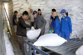 Xuất cấp hơn 4.153 tấn gạo hỗ trợ 5 địa phương dịp Tết Bính Ngọ 2026