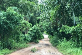 TP HCM: Con trai nghiện ma túy sát hại mẹ, chém chị gái