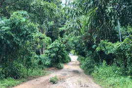 TP HCM: Con trai nghiện ma túy sát hại mẹ, chém chị gái