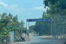 Tiết kiệm 22,5% - Liên danh Đường xã Láng Dài năng lực ra sao? [Kỳ 2]