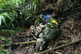 Lâm Đồng: Phát hiện người đàn ông tử vong tại bìa rừng