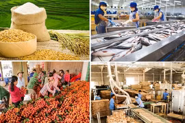 Xuất khẩu nông lâm thủy sản 4 tháng đầu năm 2026 đạt 23,04 tỷ USD