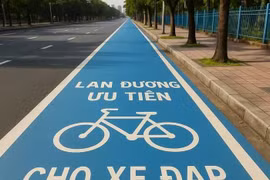 Thí điểm làn xe đạp đầu tiên, bước đi mới cho giao thông xanh TP HCM