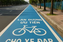 Thí điểm làn xe đạp đầu tiên, bước đi mới cho giao thông xanh TP HCM