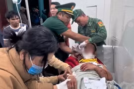 Kinh hoàng: Gấu rừng tấn công trưởng thôn ở Đà Nẵng