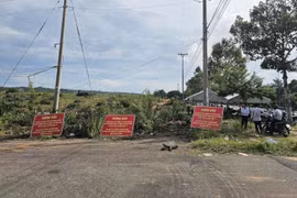 Lâm Đồng: Cưỡng chế hơn 77.000m² đất bị lấn chiếm tại phường Phú Thủy