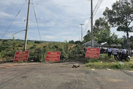 Lâm Đồng: Cưỡng chế hơn 77.000m² đất bị lấn chiếm tại phường Phú Thủy