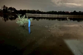 Bé trai 1 tuổi tử vong dưới ruộng ngập nước tại Hàm Thắng