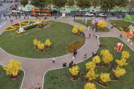 TP HCM: Duy trì cảnh quan 11 khu đất trống sau Tết Nguyên đán Bính Ngọ 2026