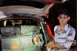 Bộ đội Biên phòng Đồng Nai bắt giữ hơn 350kg pháo nổ vận chuyển trái phép