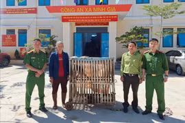 Lâm Đồng: Bàn giao, thả khỉ quý hiếm do người dân giao nộp