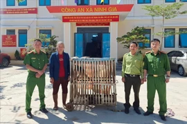 Lâm Đồng: Bàn giao, thả khỉ quý hiếm do người dân giao nộp