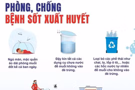 Dịch sốt xuất huyết ở Khánh Hòa: Đã có 2 ca tử vong