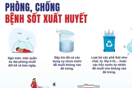 Dịch sốt xuất huyết ở Khánh Hòa: Đã có 2 ca tử vong