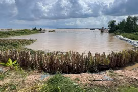 Vĩnh Long khẩn trương triển khai kè mềm chống sạt lở bờ biển Long Vĩnh