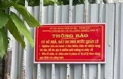 Siết quản lý đất công, Vũng Tàu tăng cường nguồn lực phát triển bền vững