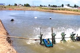 Phát hiện hai cha con tử vong dưới ao tôm ở xã Hòa Bình