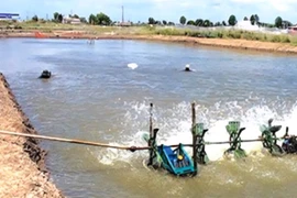 Phát hiện hai cha con tử vong dưới ao tôm ở xã Hòa Bình