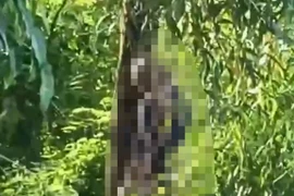 Điều tra vụ người đàn ông được phát hiện tử vong trong tư thế treo cổ