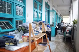 Bộ GD&ĐT sẽ cấp phát miễn phí sách giáo khoa cho học sinh vùng lũ