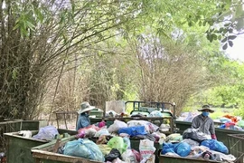 Phường Vũng Tàu khẳng định không tăng giá thu gom rác, mức phí vẫn giữ nguyên