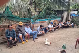 Bắt quả tang nhóm người đá gà ăn tiền tại bãi đất trống ở Bến Lức
