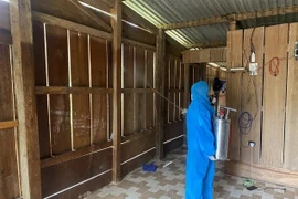 Sốt rét gia tăng tại Khánh Hòa, 40 ca tập trung ở Tây Khánh Vĩnh