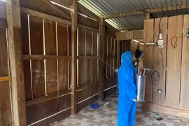 Sốt rét gia tăng tại Khánh Hòa, 40 ca tập trung ở Tây Khánh Vĩnh