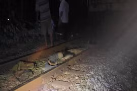 Va chạm tàu hỏa tại Gia Lai, một nhân viên tuần đường thiệt mạng