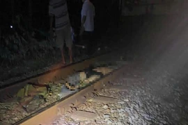 Va chạm tàu hỏa tại Gia Lai, một nhân viên tuần đường thiệt mạng