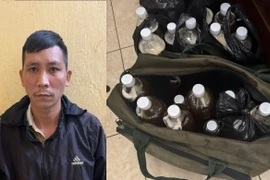 Bắt giữ đối tượng lừa dối khách hàng bằng chiêu quảng cáo mật ong rừng Kbang