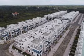 Đồng Nai hoàn tất gắn mã định danh cho hơn 913.000 thửa đất