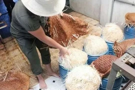 Đắk Lắk: 4 bị cáo trong đường dây sản xuất giá đỗ ngâm hóa chất lãnh án tù